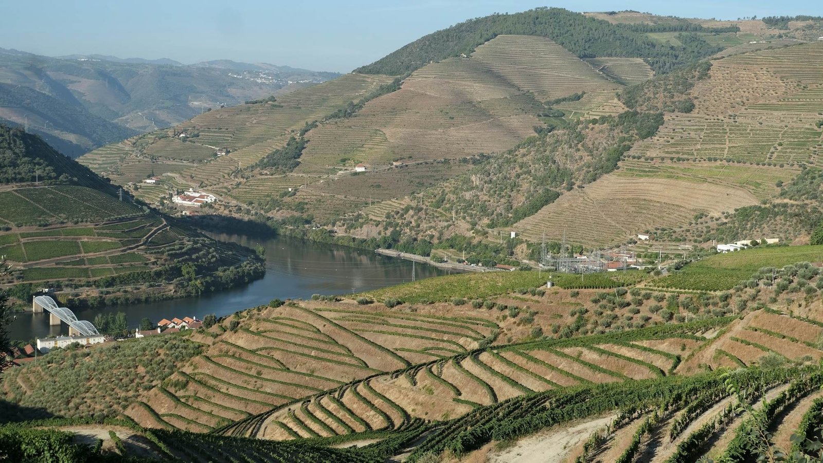Vale do Douro com socalcos de vinha e o rio a serpentear entre as encostas
